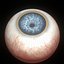 eye ball structure
