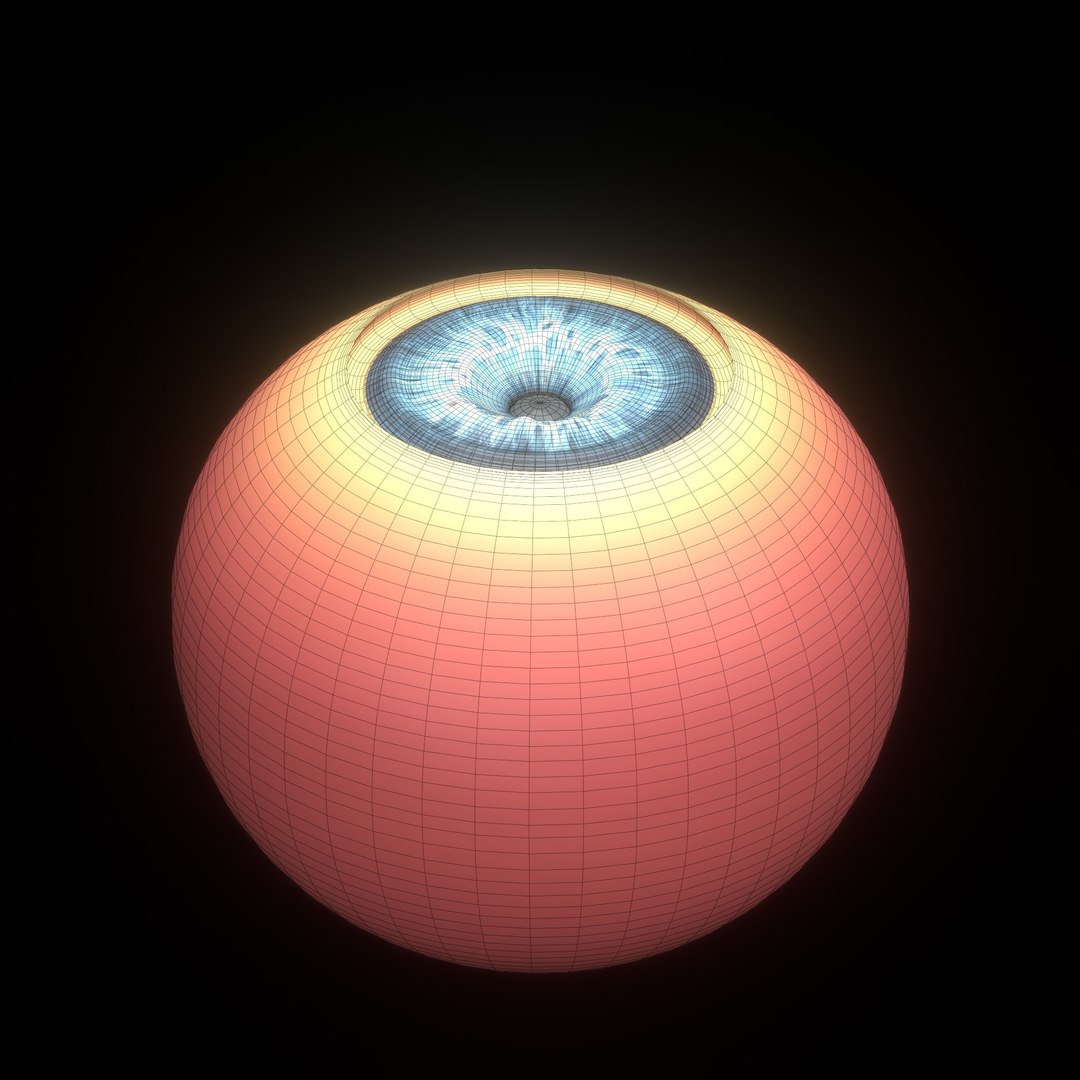 3D eye ball structure model https://p.turbosquid.com/ts-thumb/l6/A5Rz1D/v4/wire11/jpg/1692541736/1920x1080/fit_q87/f2cd963655b3844e121bb0ac57994973cc2cdae8/wire11.jpg