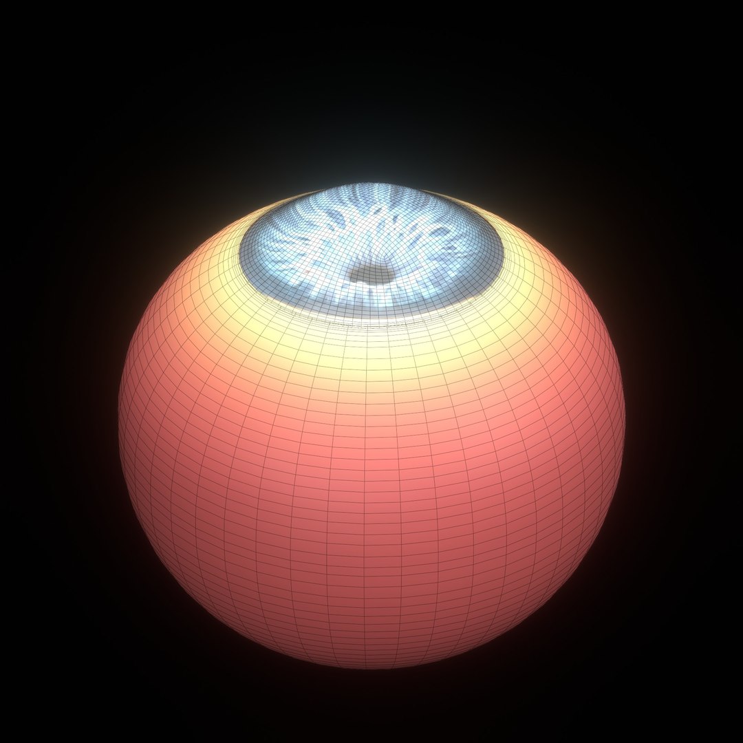 3D eye ball structure model https://p.turbosquid.com/ts-thumb/l6/A5Rz1D/wa/wire10/jpg/1692541736/1920x1080/fit_q87/c4fce9368d81cba62093c4bbee72438dbe6526c8/wire10.jpg