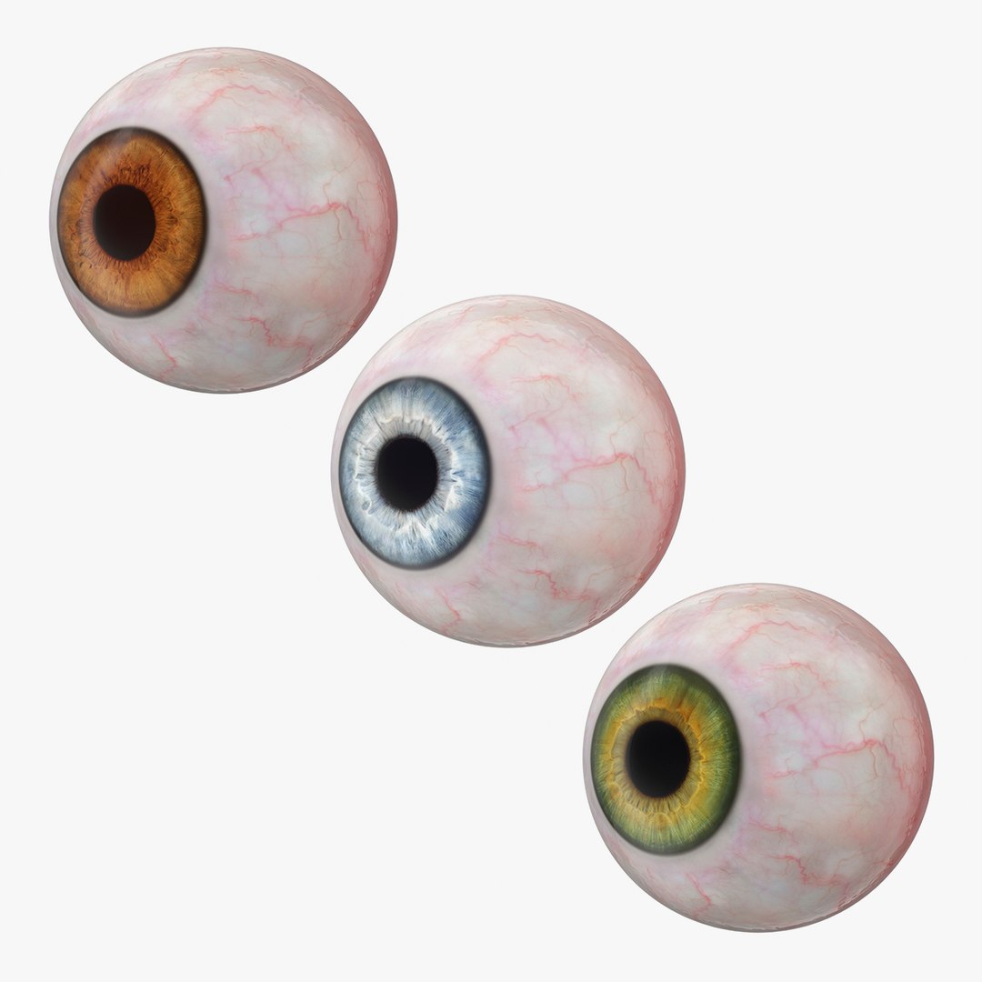 Realistic Human Eyeballs Collection 3D model preview
