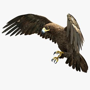 3D Golden Eagle RIGGED