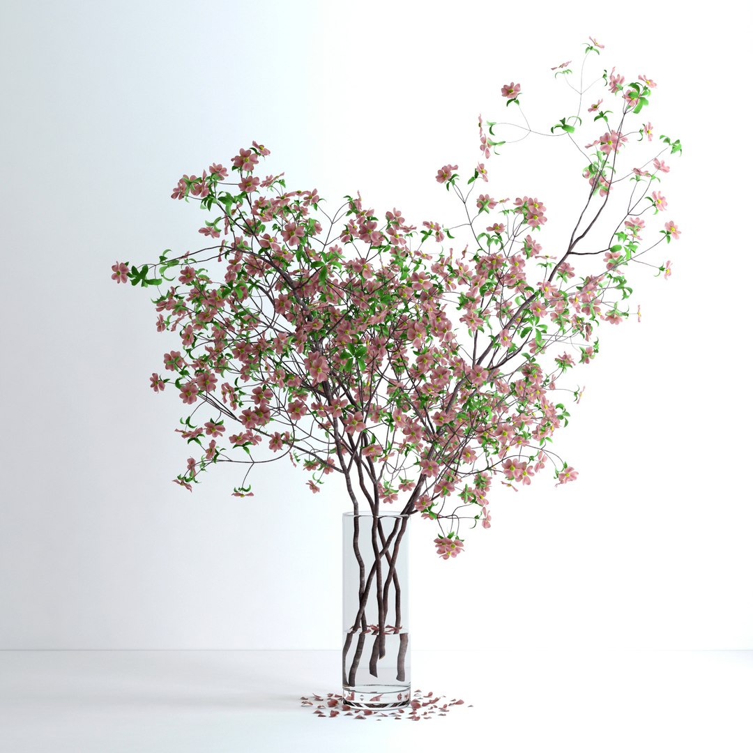 max realistic pink dogwood blossom https://p.turbosquid.com/ts-thumb/l6/WrNvcs/2Pka5oLb/v6/jpg/1464380826/1920x1080/fit_q87/22752c95e62406ebff7cf6a49ab5429ebb13505c/v6.jpg
