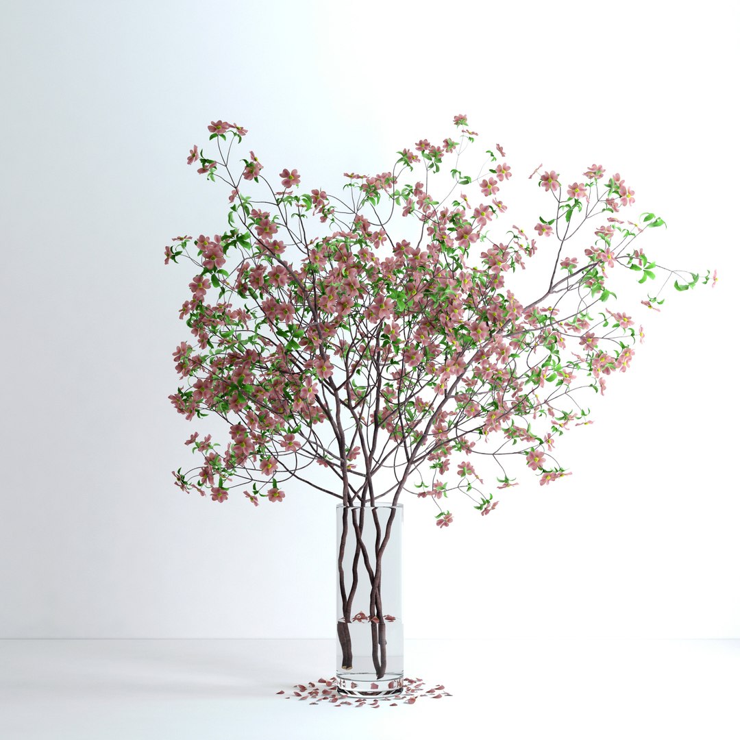 max realistic pink dogwood blossom https://p.turbosquid.com/ts-thumb/l6/WrNvcs/gdSZXr9o/v10/jpg/1464380826/1920x1080/fit_q87/09417311c993cf94c6b56abdaedab9bbf0649276/v10.jpg