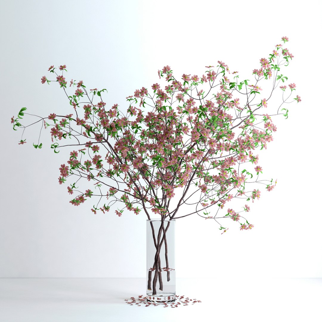 max realistic pink dogwood blossom https://p.turbosquid.com/ts-thumb/l6/WrNvcs/jDVqrm6Z/v5/jpg/1464380826/1920x1080/fit_q87/f6102f4bc25347d79de193ac752799a83c639cee/v5.jpg