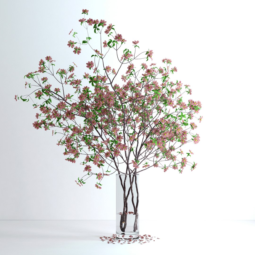 max realistic pink dogwood blossom https://p.turbosquid.com/ts-thumb/l6/WrNvcs/p4xXXrxI/v7/jpg/1464380826/1920x1080/fit_q87/1ead9f2b2e70734de9092ff17a4d732408dc6bb6/v7.jpg