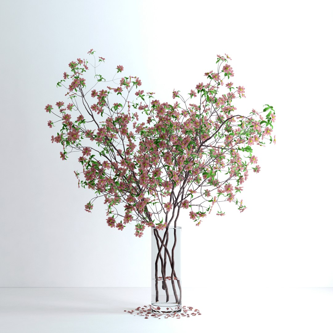 max realistic pink dogwood blossom https://p.turbosquid.com/ts-thumb/l6/WrNvcs/vql5fN1Y/v9/jpg/1464380826/1920x1080/fit_q87/646245196b22b067830868cfd12747e92f8f3895/v9.jpg