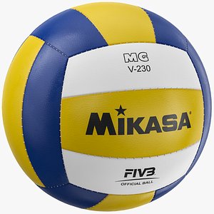 Volleyball Ball 02