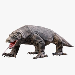 3D Komodo Dragon 8K PBR model