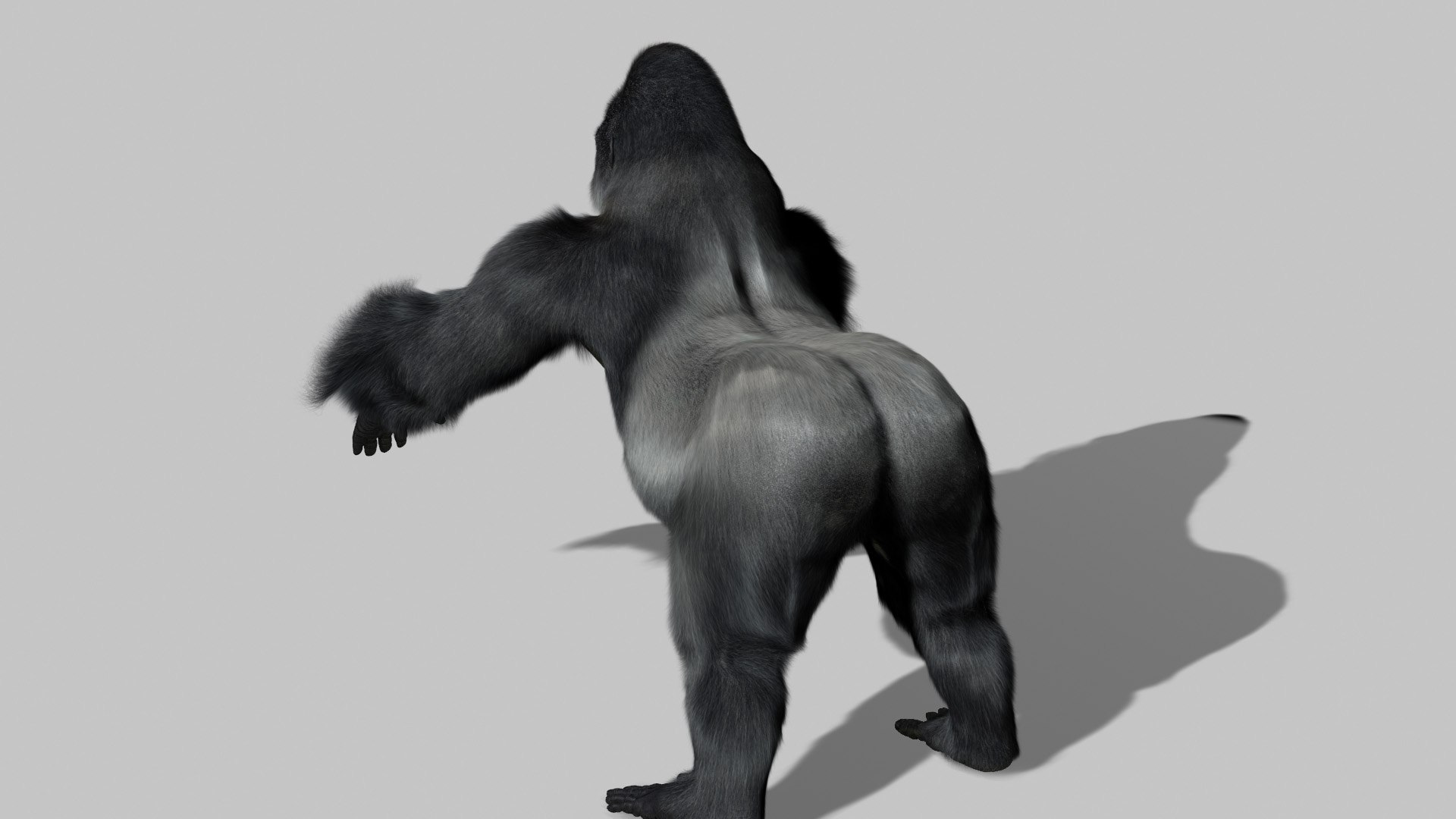 Gorilla Rigging Animation Max