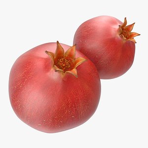 pomegranate modeled nature 3d 3ds