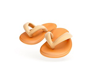 3D Flip Flops 3d icon