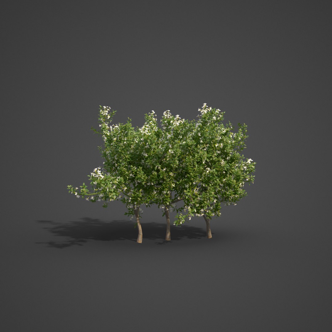 garden 3D model https://p.turbosquid.com/ts-thumb/l7/aSnvew/5Y/as09_06/png/1610495406/1920x1080/fit_q87/a80e165d7549922c891cc6ba587ac7cb1488db81/as09_06.jpg