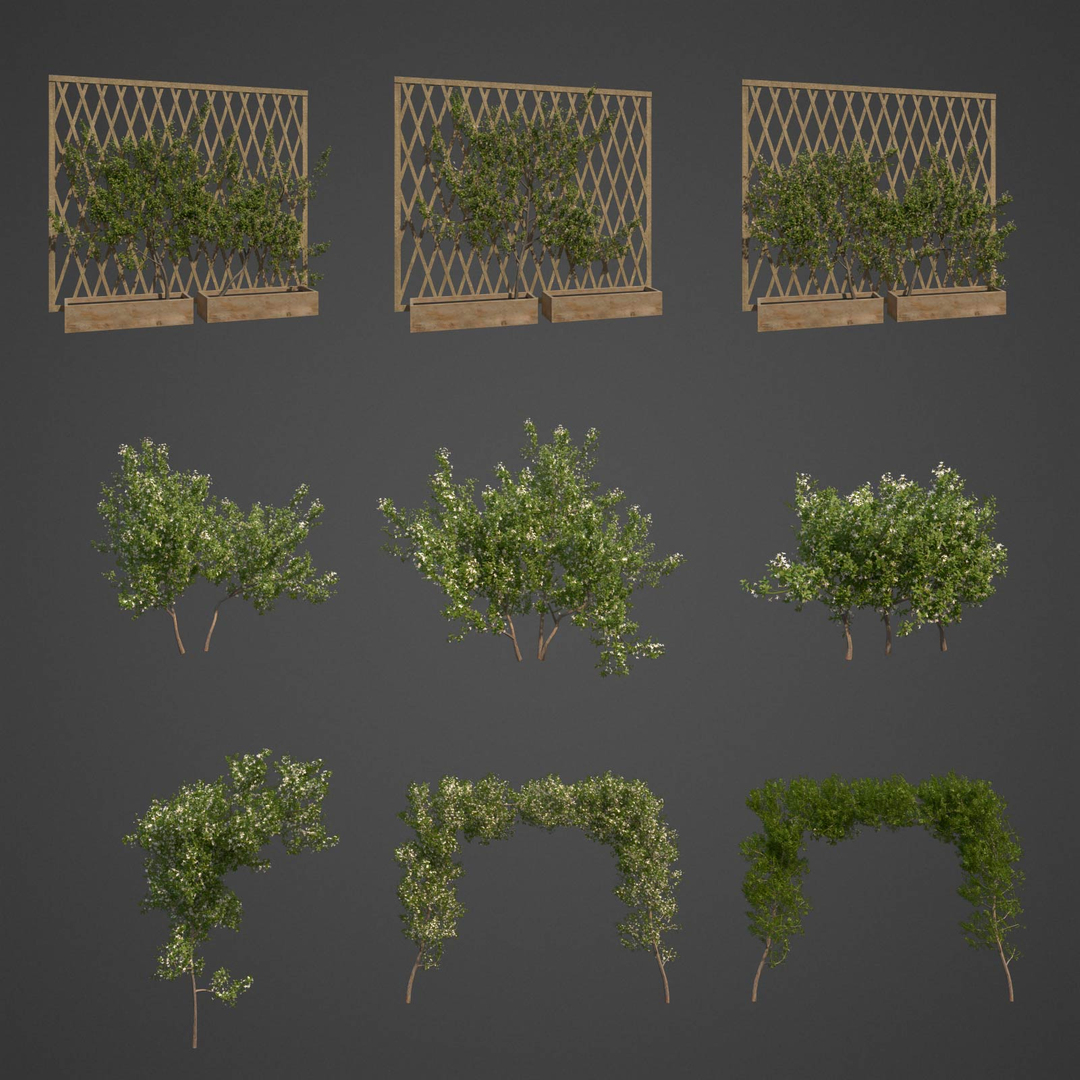 garden 3D model https://p.turbosquid.com/ts-thumb/l7/aSnvew/B9/as09/jpg/1610993505/1920x1080/turn_fit_q99/a9236862d455bcb13a84915d306e74caf4f986d5/as09-1.jpg