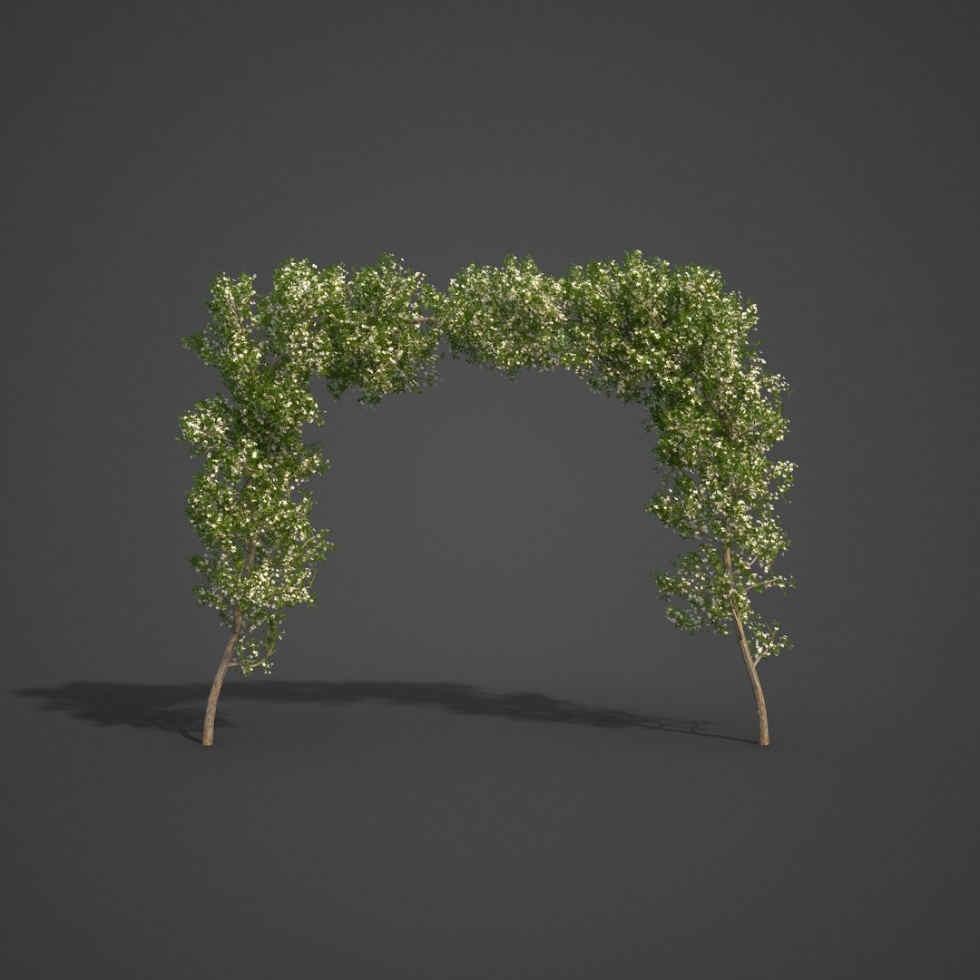 garden 3D model https://p.turbosquid.com/ts-thumb/l7/aSnvew/Pn/as09_08/png/1610495403/1920x1080/fit_q87/0f9215fa4881aaeaec05927a95cfa38b7afad515/as09_08.jpg