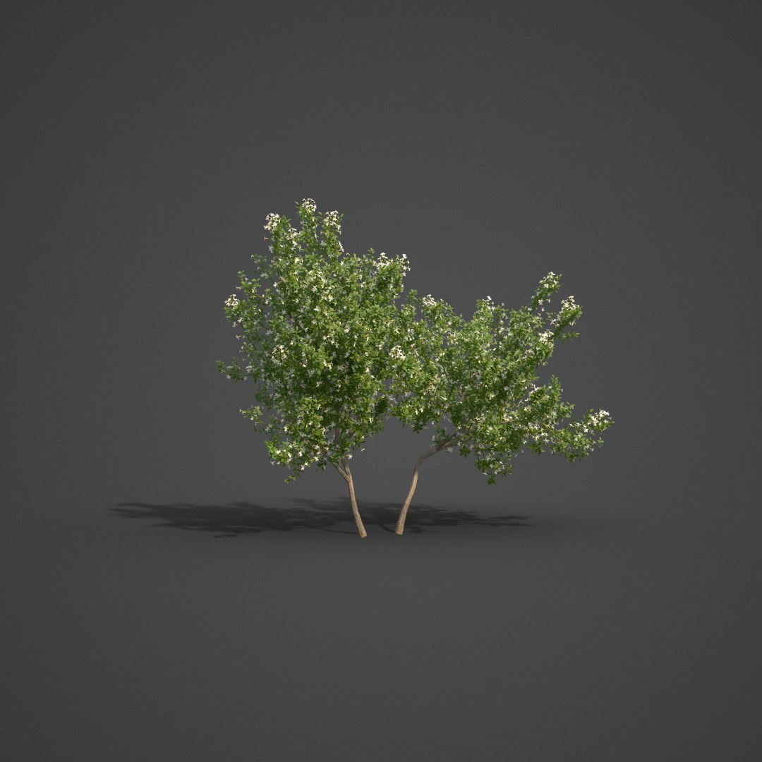 garden 3D model https://p.turbosquid.com/ts-thumb/l7/aSnvew/X2/as09_04/png/1610495401/1920x1080/fit_q87/c0ead480e1bd8b417fdb5f52601c108ca399eb7a/as09_04.jpg