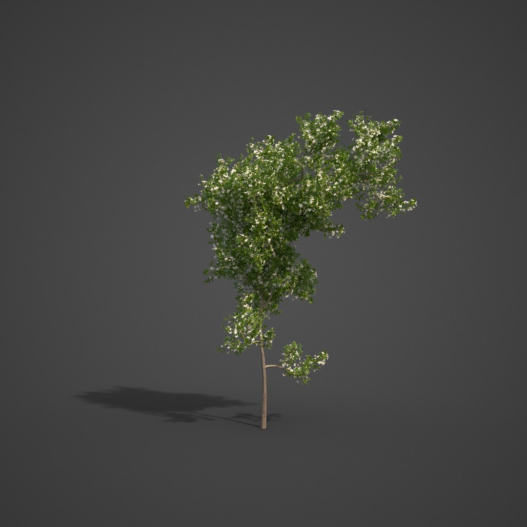 garden 3D model https://p.turbosquid.com/ts-thumb/l7/aSnvew/a5/as09_07/png/1610495399/1920x1080/fit_q87/9ef8bed6682074456337ba05f6566cde29e61f59/as09_07.jpg