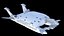 Экраноплан Бартини А-2500