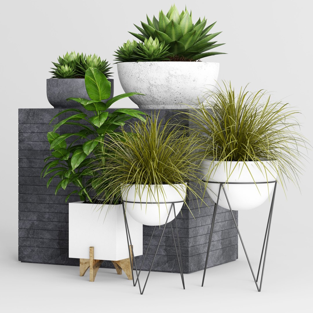 plants planter 3D https://p.turbosquid.com/ts-thumb/l8/8gTkqz/UvYwIkSu/plantcollection_1_v3custom/jpg/1589884160/1920x1080/fit_q87/bb337968cd969c5d55be9ca98bd5273831801879/plantcollection_1_v3custom.jpg