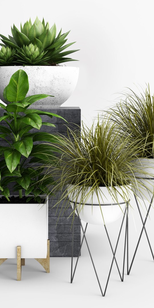 plants planter 3D https://p.turbosquid.com/ts-thumb/l8/8gTkqz/YHIdqiNI/plantcollection_1_v2custom/jpg/1589884952/1920x1080/fit_q87/aeefe1fc5c84bada540b402d514794b99623c460/plantcollection_1_v2custom.jpg