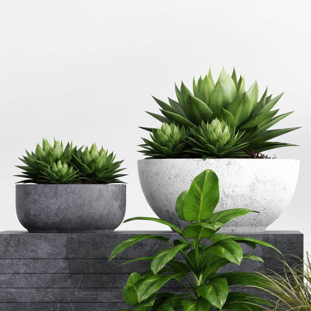 plants planter 3D https://p.turbosquid.com/ts-thumb/l8/8gTkqz/vLD9cyYB/plantcollection_1_v4custom/jpg/1589884160/1920x1080/fit_q87/a3fd467e746b5d360ba083b08c02ee8417e7a722/plantcollection_1_v4custom.jpg