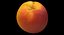 Recogida De Frutas 02