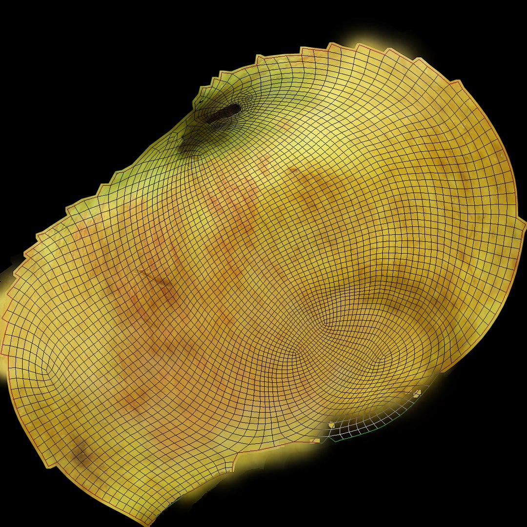3D scan fruit model https://p.turbosquid.com/ts-thumb/l8/FmMXvl/VggXjLRn/uv/jpg/1562248600/1920x1080/fit_q87/ef684004024c4202a40bd78ccfee376b6be73051/uv.jpg