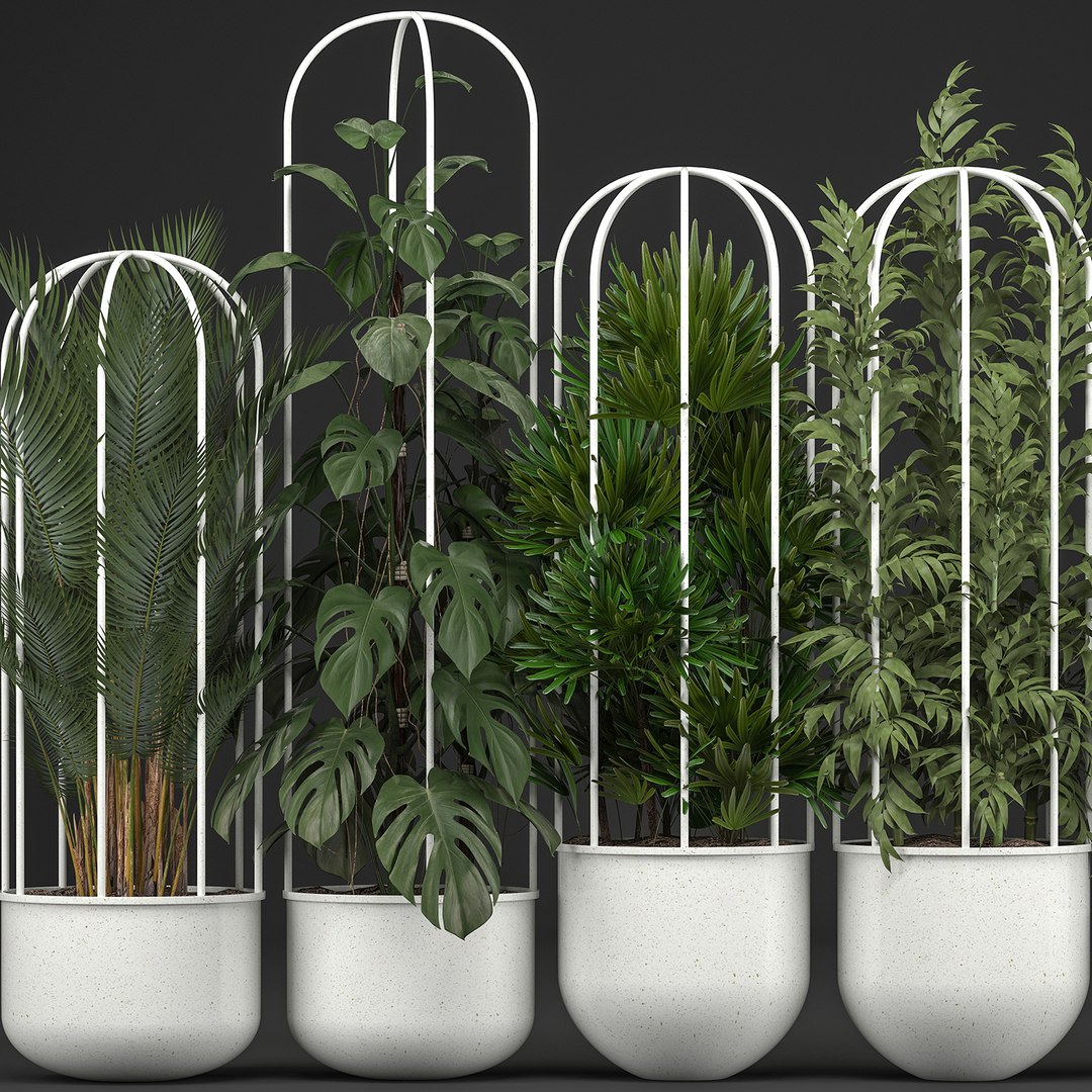 plants exotic model https://p.turbosquid.com/ts-thumb/l8/QcQsgc/0aKwXICB/plantpot1606201902/jpg/1560768369/1920x1080/fit_q87/ebc49a4fa25d651e449f1a8577da08de51d256d1/plantpot1606201902.jpg