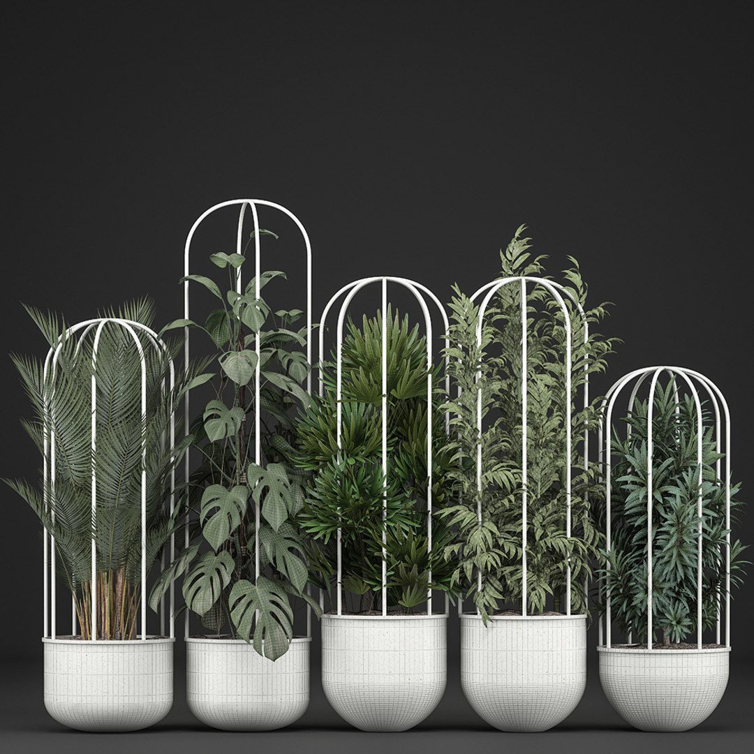 plants exotic model https://p.turbosquid.com/ts-thumb/l8/QcQsgc/8myy0hbo/plantpot1606201908/jpg/1560768369/1920x1080/fit_q87/bff8fb4fa43e951c81b2feb86cbd0208ab4108b3/plantpot1606201908.jpg