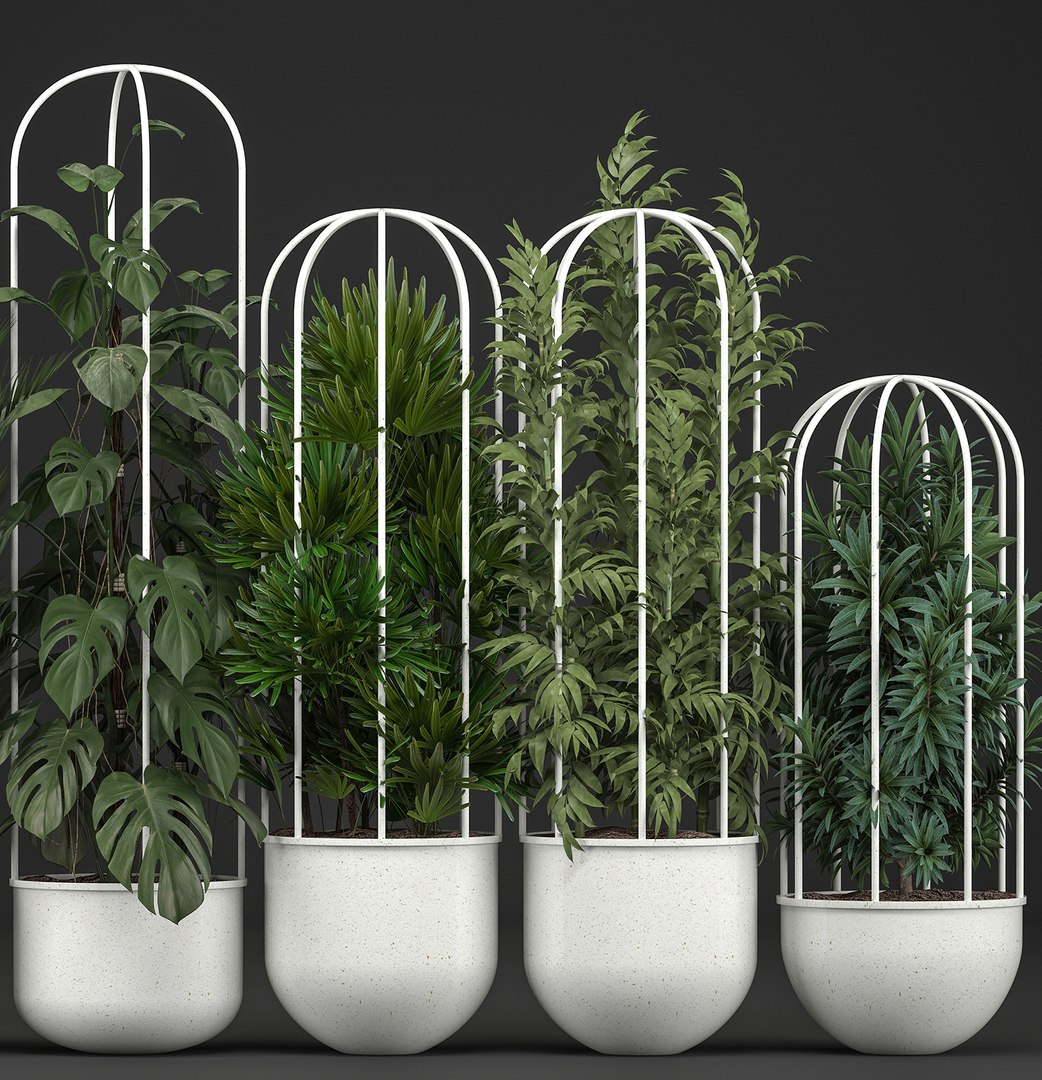 plants exotic model https://p.turbosquid.com/ts-thumb/l8/QcQsgc/9AyPeq9T/plantpot1606201903/jpg/1560768369/1920x1080/fit_q87/b91cfdae37e483ed90000198999229172759173f/plantpot1606201903.jpg