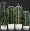 エキゾチックな植物のコレクション