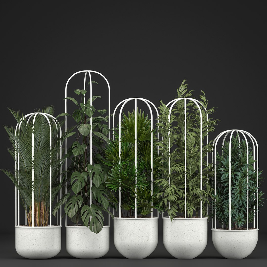 plants exotic model https://p.turbosquid.com/ts-thumb/l8/QcQsgc/WiLHKZz5/plantpot1606201901/jpg/1560768369/1920x1080/fit_q87/f1c198f319a9c049e94480c180756d063b443d32/plantpot1606201901.jpg