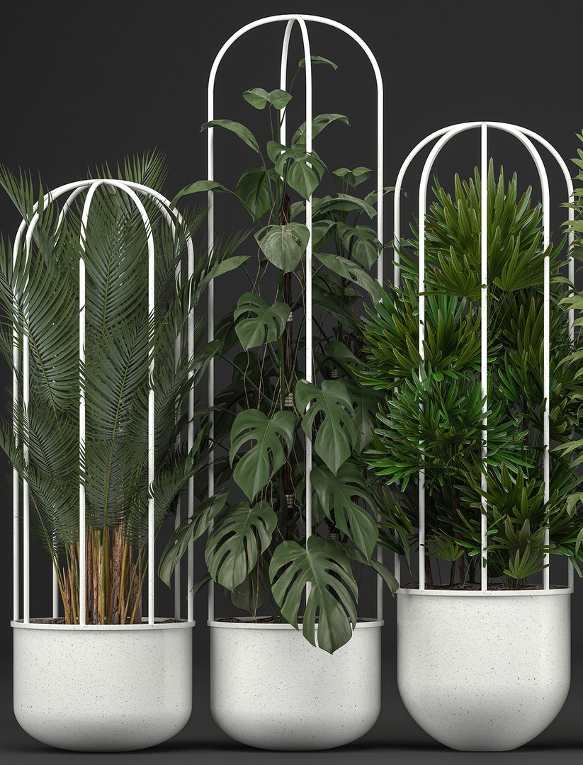 plants exotic model https://p.turbosquid.com/ts-thumb/l8/QcQsgc/cnGORWVt/plantpot1606201904/jpg/1560768369/1920x1080/fit_q87/b531219da3885860e3e11432e2299c371ecfdc8c/plantpot1606201904.jpg