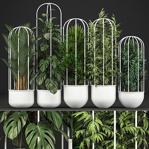 plants exotic model