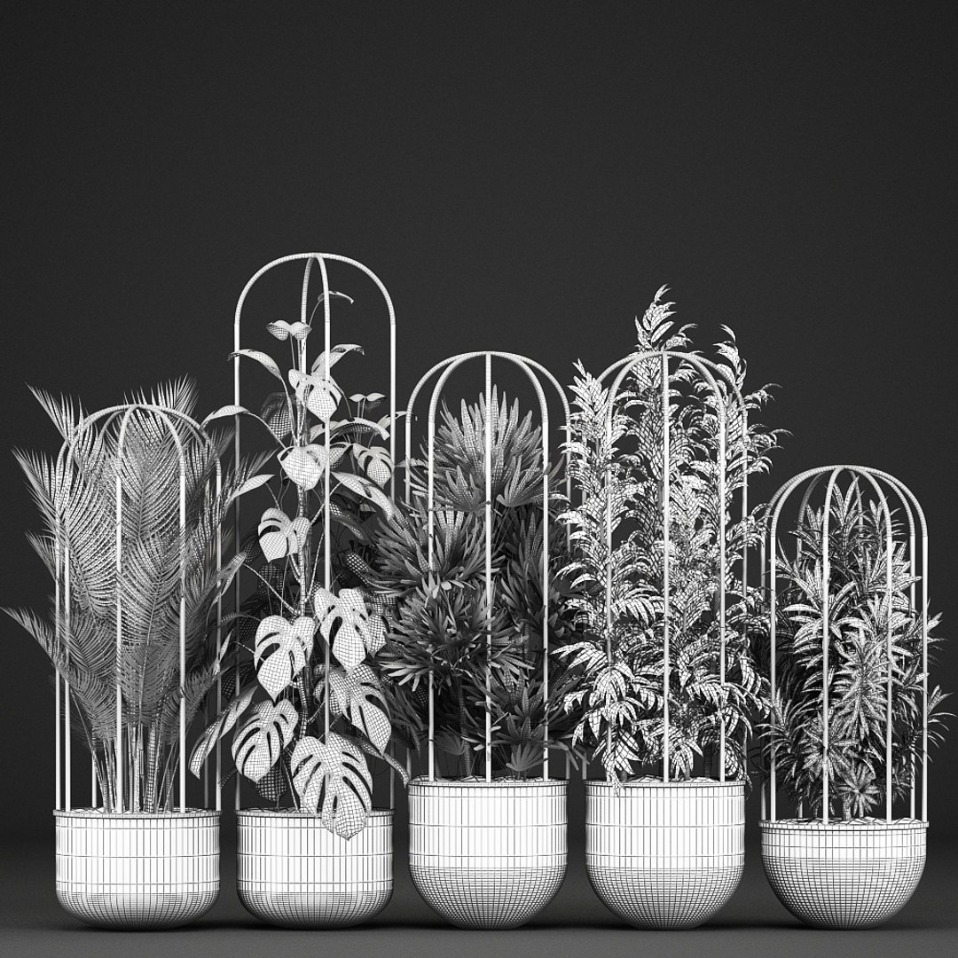 plants exotic model https://p.turbosquid.com/ts-thumb/l8/QcQsgc/wnbXnhVK/plantpot1606201909/jpg/1560768369/1920x1080/fit_q87/2d959d80be2a16004aeae857ff6d2df3f2a425e9/plantpot1606201909.jpg