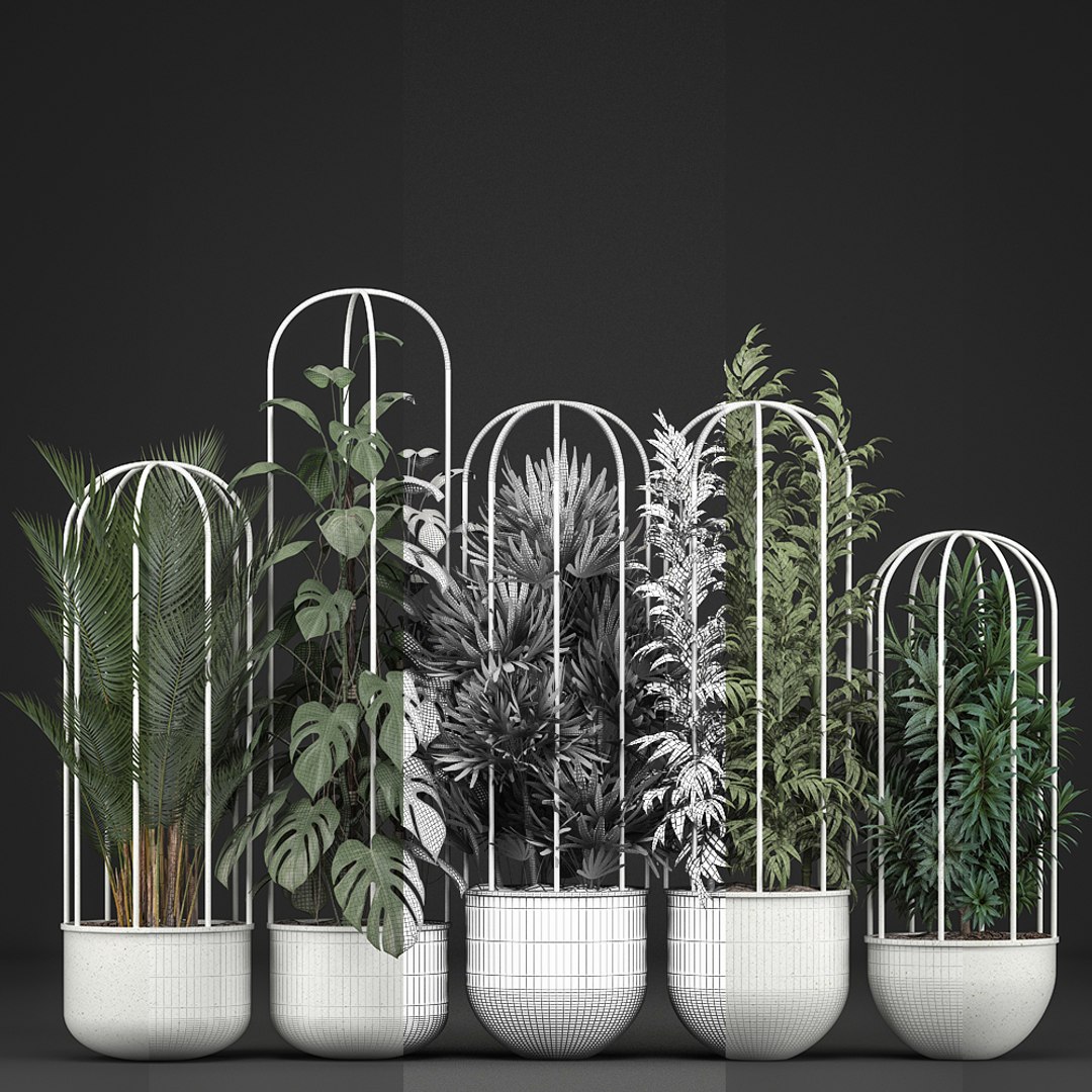 plants exotic model https://p.turbosquid.com/ts-thumb/l8/QcQsgc/wu5sJRwP/plantpot1606201907/jpg/1560768369/1920x1080/fit_q87/c5b9a4526ffcfd20d0736a3bf3fccf6743cf6168/plantpot1606201907.jpg