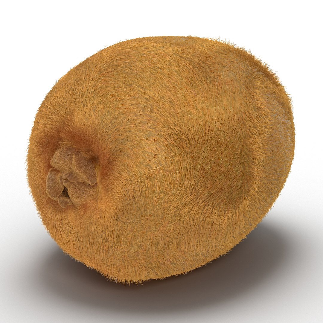 Kiwi 3D Model with Fur 3D model preview
