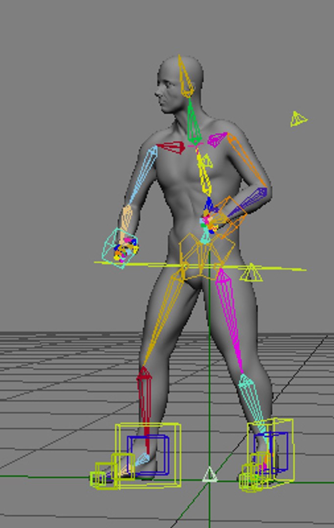 lightwave rig anatomy virtual 3d model