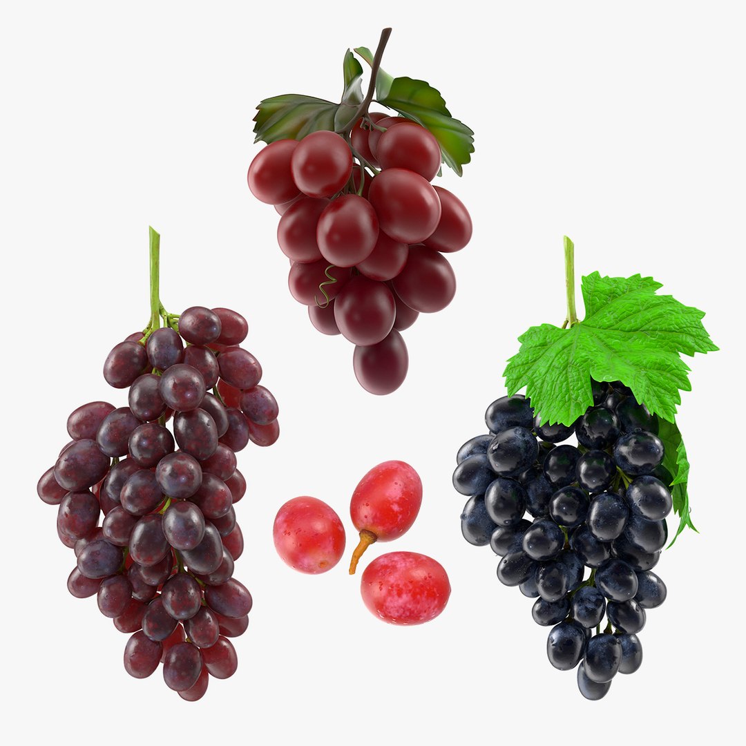 Grapes Collection 2 3D model preview