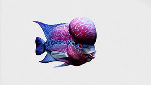 flowerhorn
