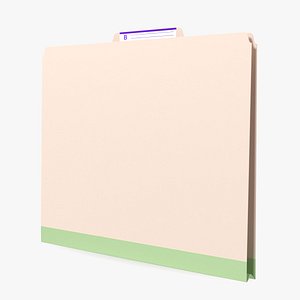 Blank Card Folder File 3D model
