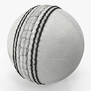Cricket Ball White