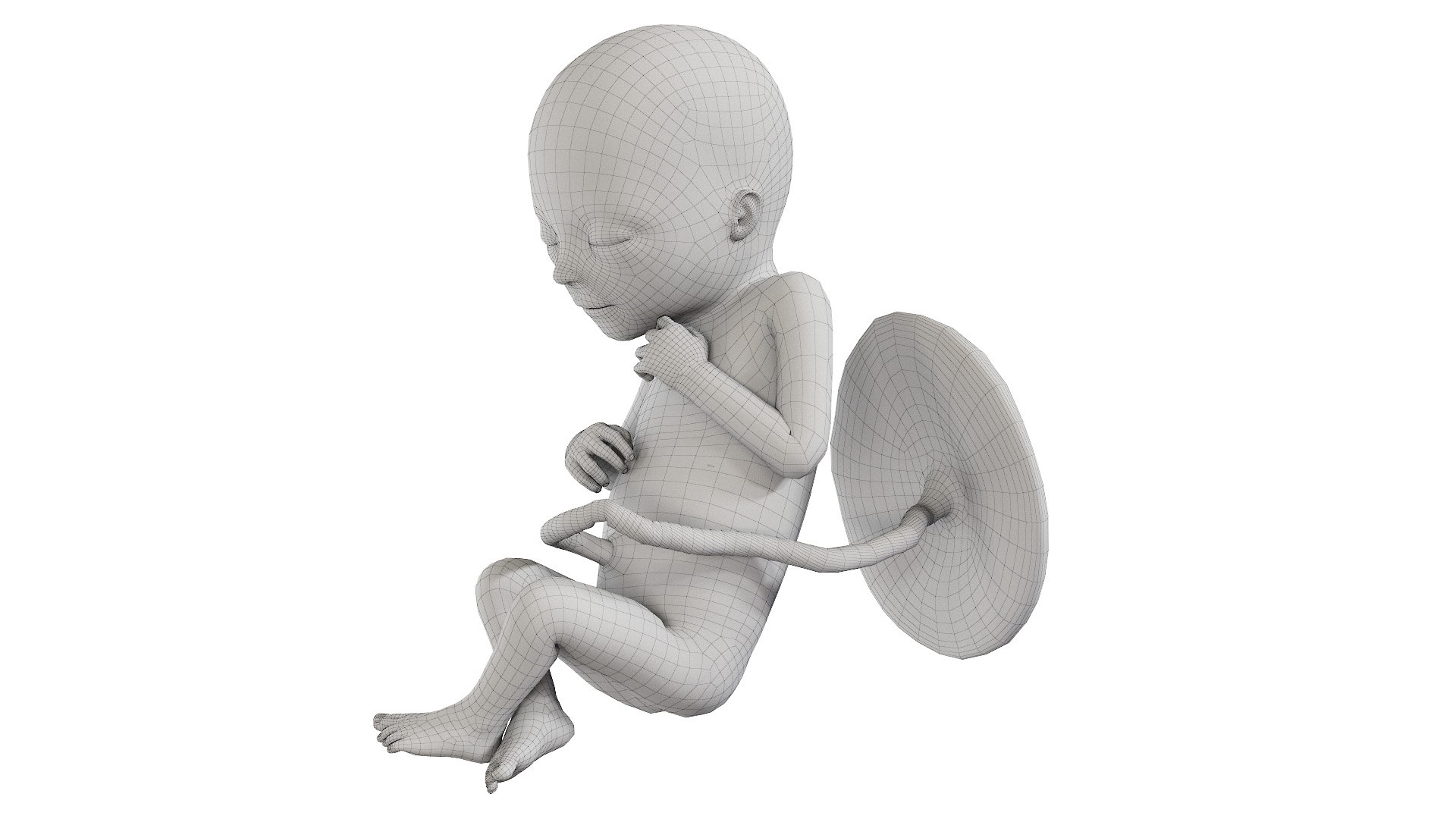Fetus Anatomy Week 18 Static model https://p.turbosquid.com/ts-thumb/l9/AMEnU4/7d/fetus_week18f_wire0001/jpg/1635930882/1920x1080/fit_q87/8b051787a9178b15fc4a3d4a957cfd92a03de03d/fetus_week18f_wire0001.jpg