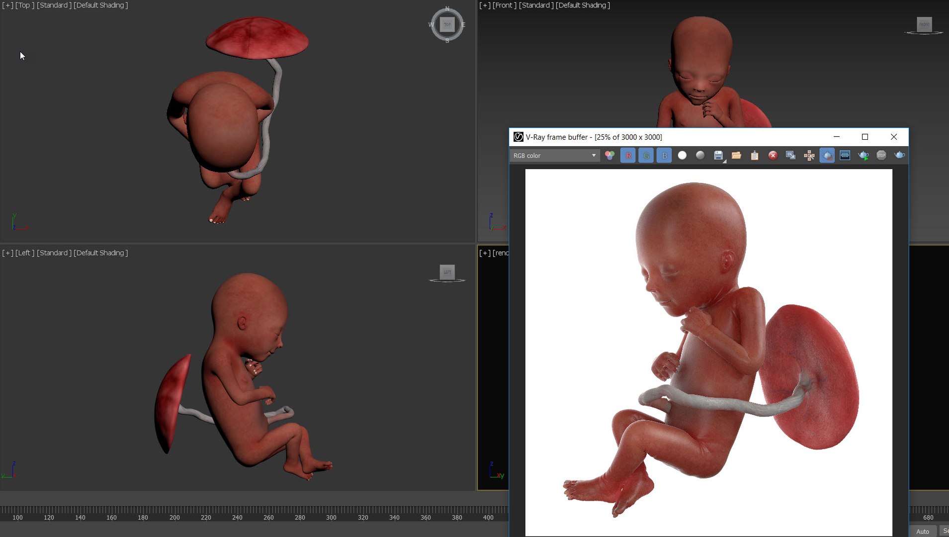 Fetus Anatomy Week 18 Static model https://p.turbosquid.com/ts-thumb/l9/AMEnU4/Ld/fetus_week_18__viewport/jpg/1636013168/1920x1080/fit_q87/cb03ab212de1d14ff1dd7204f5e44db08e426460/fetus_week_18__viewport.jpg