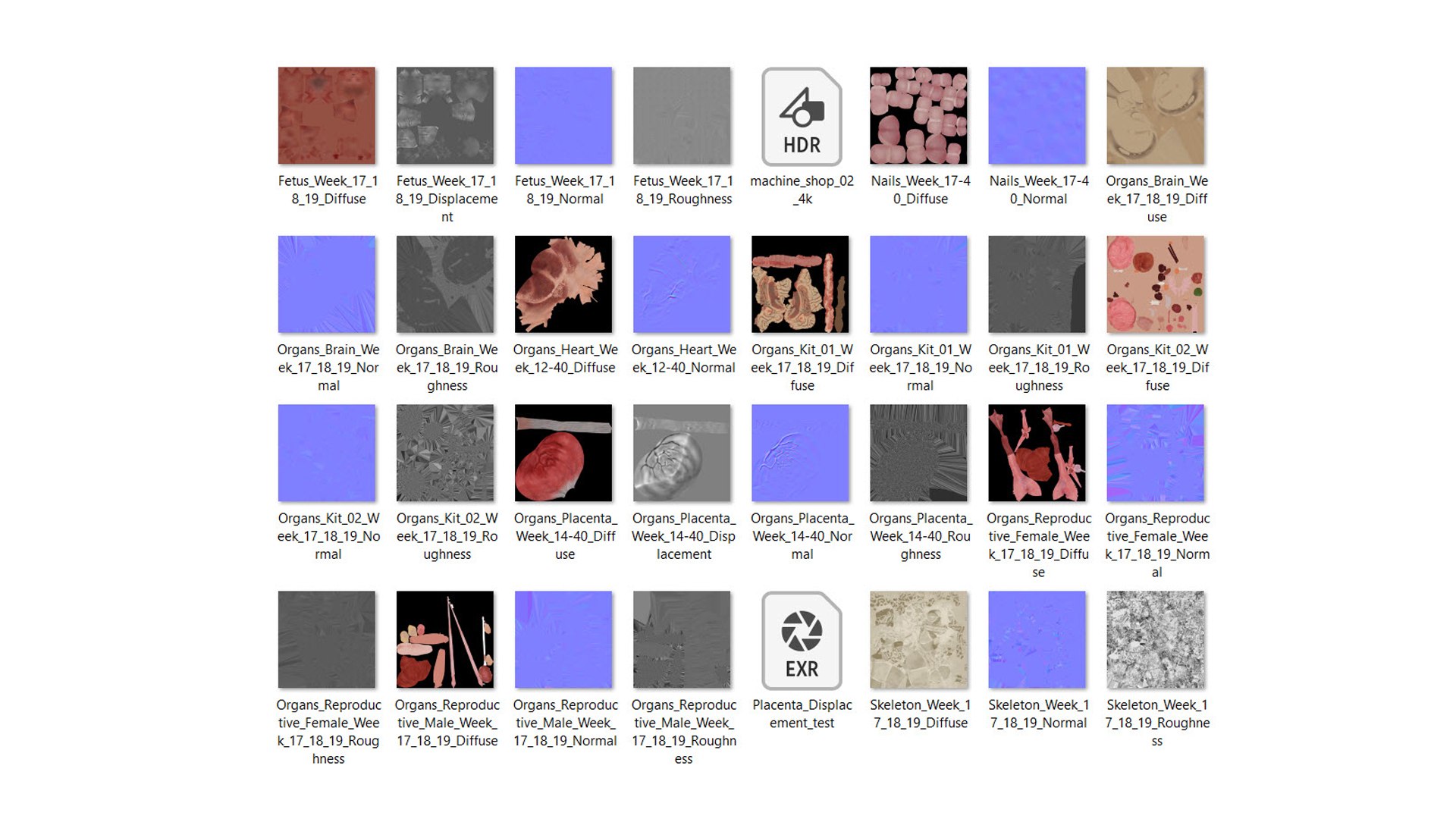 Fetus Anatomy Week 18 Static model https://p.turbosquid.com/ts-thumb/l9/AMEnU4/Pr/texture_week_18/jpg/1636040564/1920x1080/fit_q87/eae61dce554c31624c9b109e678d0576040fc9c3/texture_week_18.jpg