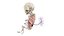 Fetus Anatomy Week 18 Static