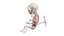 Fetus Anatomy Week 18 Static