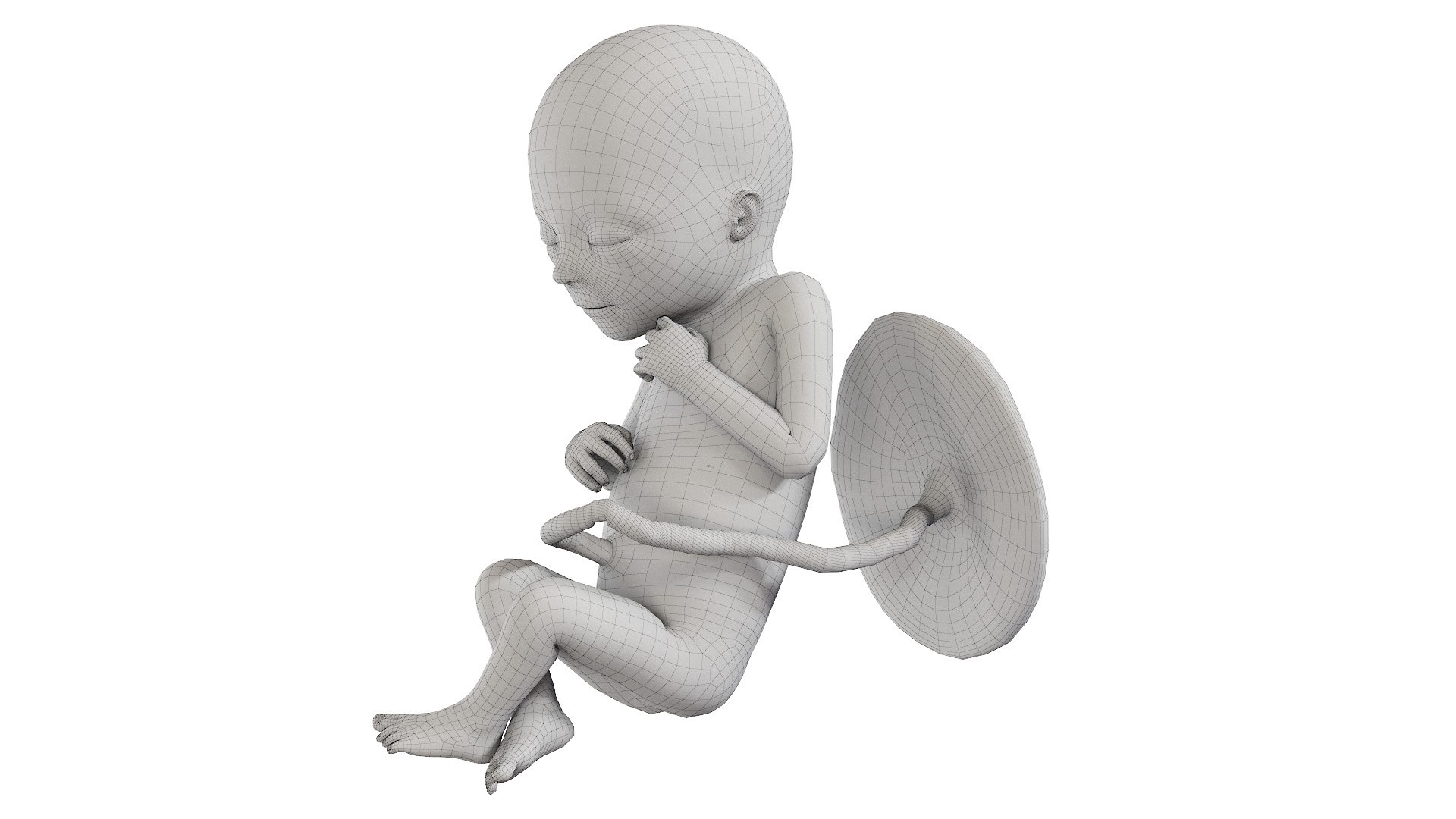 Fetus Anatomy Week 18 Static model https://p.turbosquid.com/ts-thumb/l9/AMEnU4/qj/fetus_week18f_wire0003/jpg/1635930881/1920x1080/fit_q87/63c5bd12a71fb96c3b97ee2128fc25885cc3b591/fetus_week18f_wire0003.jpg