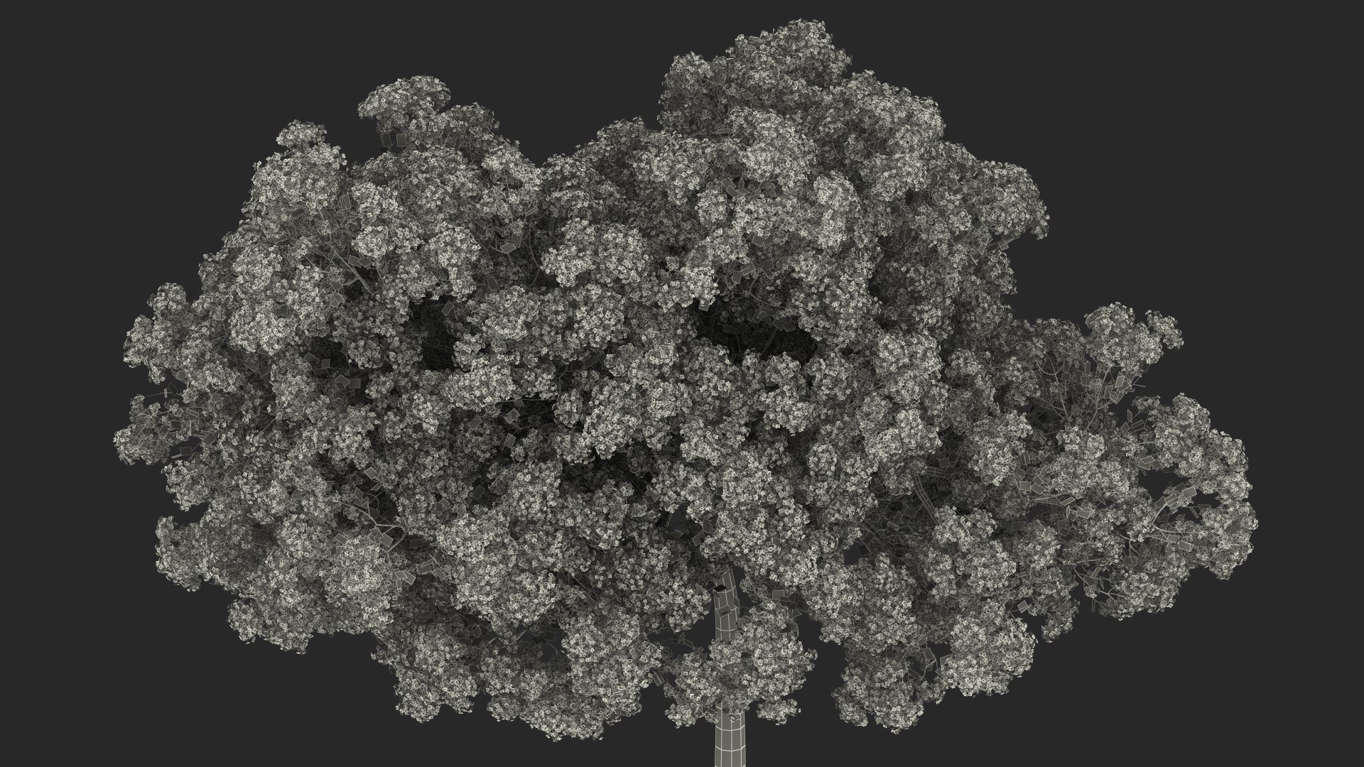 Handroanthus Impetiginosus Foliage 3D model https://p.turbosquid.com/ts-thumb/l9/LB5Jc4/3N/handroanthusimpetiginosusfoliagevray3dmodel025/jpg/1620091593/1920x1080/fit_q87/b6613550930516c41310887eebff3fed1867a672/handroanthusimpetiginosusfoliagevray3dmodel025.jpg