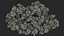 Handroanthus Impetiginosus Foliage