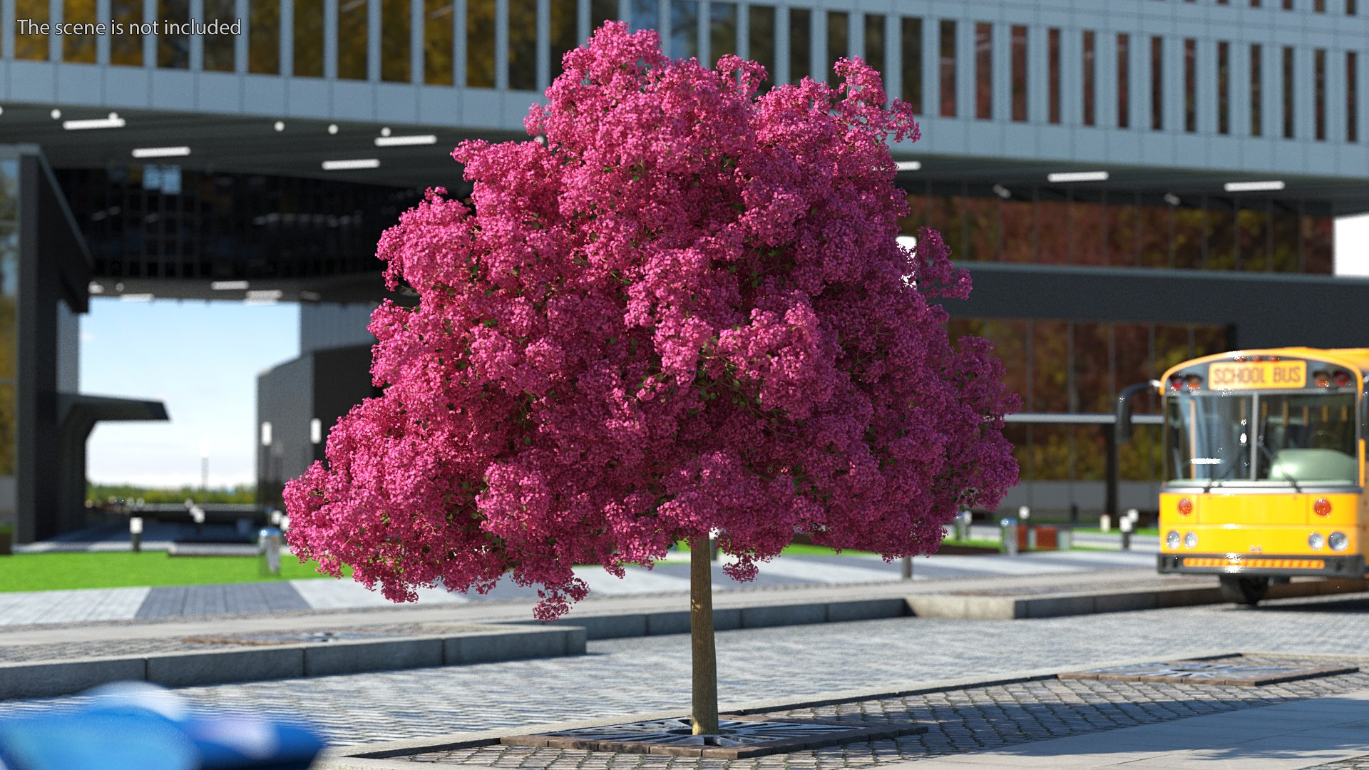 Handroanthus Impetiginosus Foliage 3D model https://p.turbosquid.com/ts-thumb/l9/LB5Jc4/5q/handroanthusimpetiginosusfoliagevray3dmodel003/jpg/1620091445/1920x1080/fit_q87/fe7e2d2c311bccb4d5287f0932134a299cbdec3c/handroanthusimpetiginosusfoliagevray3dmodel003.jpg